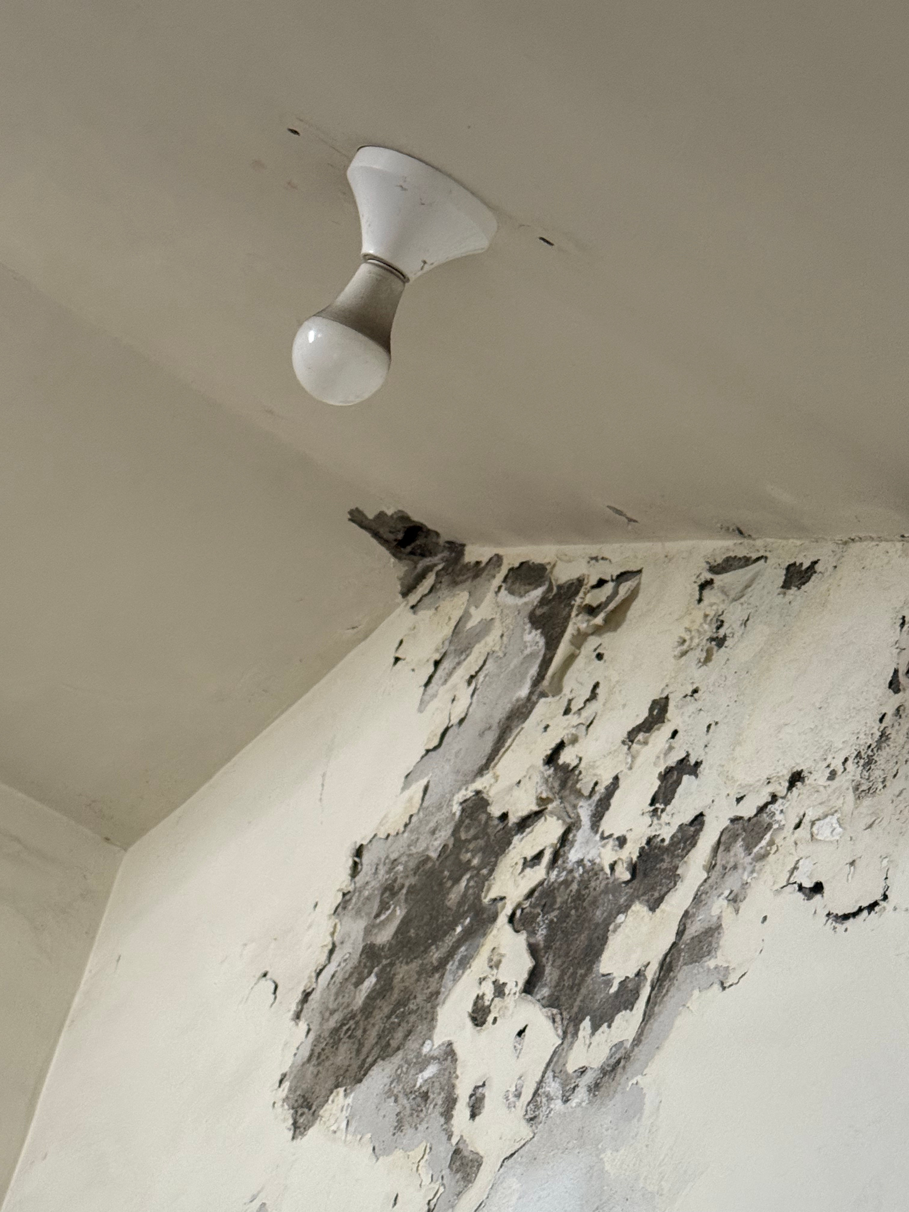 新竹壁癌處理施工案例-壁癌根治專業處理過程